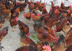 �Ž��S���u